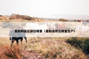 曼联陶瓷总部在哪里（曼联瓷砖在哪里生产）