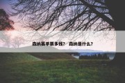 森纳赛季票多钱？ 森纳是什么？