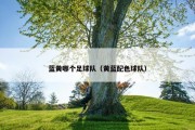 蓝黄哪个足球队（黄蓝配色球队）