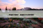 熊猫团子回放？ 熊猫团子大家族视频？