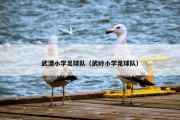 武潭小学足球队（武岭小学足球队）