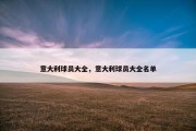 意大利球员大全，意大利球员大全名单