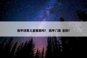 西甲球赛儿童要票吗？ 西甲门票 官网？