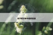 关于武汉有中超的信息
