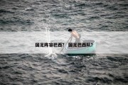 国足阵容巴西？ 国足巴西队？