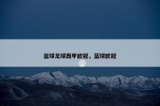 篮球足球西甲欧冠，蓝球欧冠
