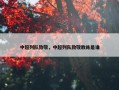 中超列队致敬，中超列队致敬教练是谁
