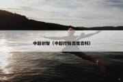中超创智（中超控股百度百科）