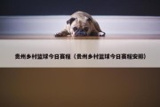 贵州乡村篮球今日赛程（贵州乡村篮球今日赛程安排）