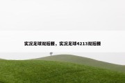 实况足球双后腰，实况足球4213双后腰