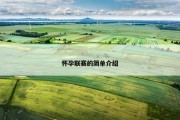 怀孕联赛的简单介绍