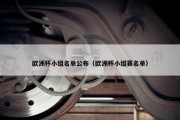 欧洲杯小组名单公布（欧洲杯小组赛名单）