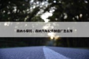 森纳小摩托，森纳汽车配件制造厂怎么样