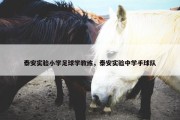 泰安实验小学足球学教练，泰安实验中学手球队