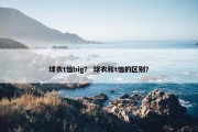 球衣t恤big？ 球衣和t恤的区别？