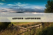 山西甲醇政策（山西甲醇政策视频）