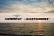 小团团唱歌游戏回放？ 小团团唱歌游戏回放在哪里看？