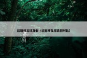 欧冠杯足球真假（欧冠杯足球真假对比）