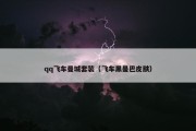 qq飞车曼城套装（飞车黑曼巴皮肤）