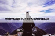 特斯拉哨兵回放白屏，特斯拉哨兵回放白屏怎么回事