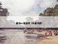 皇马ec套战术（lh皇马套）