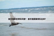 塞尔维亚足球队科普？ 塞尔维亚国家队名单？