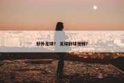 野外足球？ 足球野球视频？