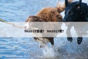 fm2017自虐？ fm2017吧？