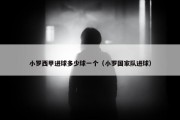 小罗西甲进球多少球一个（小罗国家队进球）
