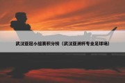 武汉亚冠小组赛积分榜（武汉亚洲杯专业足球场）