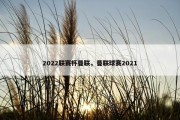 2022联赛杯曼联，曼联球赛2021
