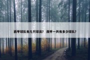 西甲球队有几只球员？ 西甲一共有多少球队？