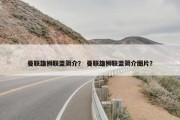 曼联雄狮联盟简介？ 曼联雄狮联盟简介图片？