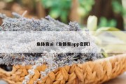 鱼体育ai（鱼体育app官网）