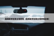 詹姆斯季后赛主场球场（詹姆斯季后赛主场球场在哪）