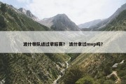 波什带队进过季后赛？ 波什拿过mvp吗？