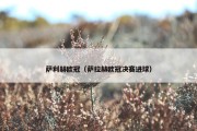 萨利赫欧冠（萨拉赫欧冠决赛进球）