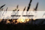法国球衣标志？ 法国球员版球衣？