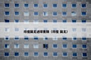 印度国足进球集锦（印度 国足）