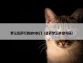梦三巴萨打森纳0射门（巴萨梦三阵容号码）