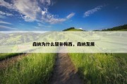 森纳为什么替补梅西，森纳发展