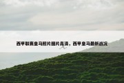 西甲联赛皇马照片图片高清，西甲皇马最新战况