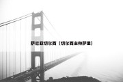 萨尼亚切尔西（切尔西主帅萨里）