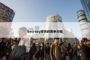 becrazy球衣的简单介绍