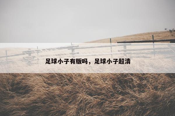 足球小子有版吗，足球小子超清