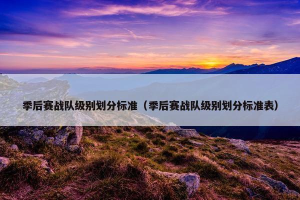 季后赛战队级别划分标准（季后赛战队级别划分标准表）
