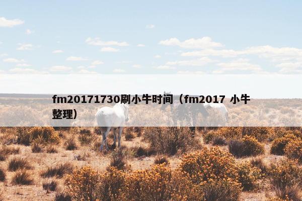 fm20171730刷小牛时间（fm2017 小牛整理）