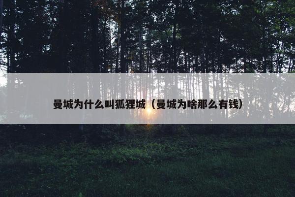 曼城为什么叫狐狸城（曼城为啥那么有钱）