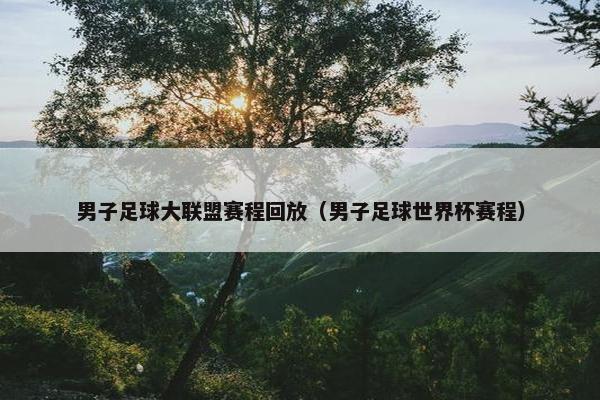 男子足球大联盟赛程回放（男子足球世界杯赛程）