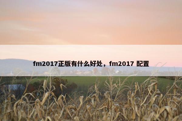 fm2017正版有什么好处，fm2017 配置